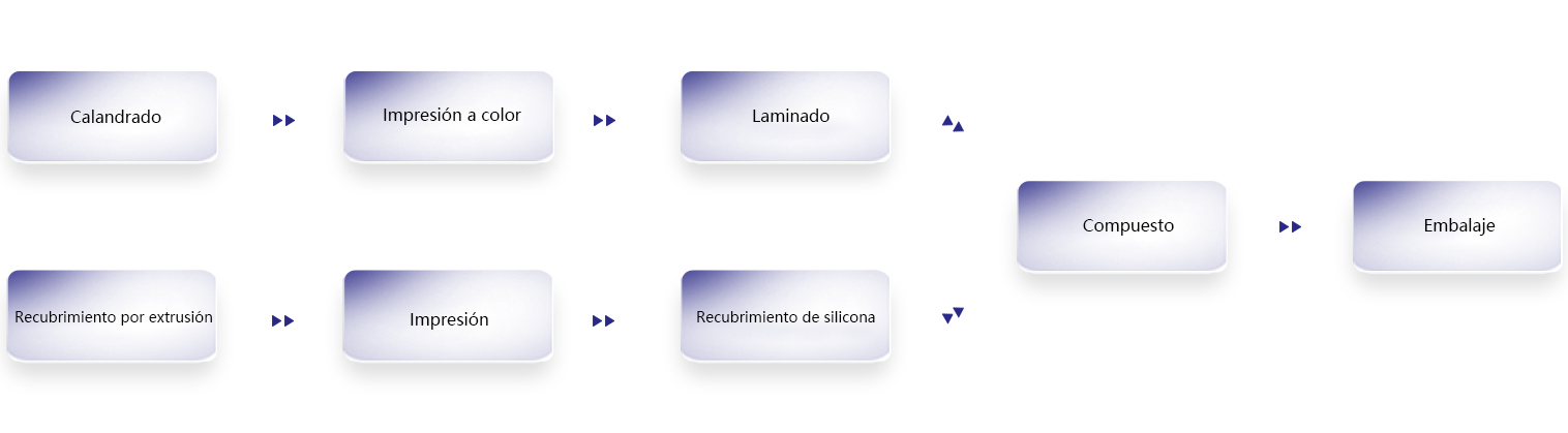 Jiangsu Xinfeng Star Film Materials Co., Ltd.