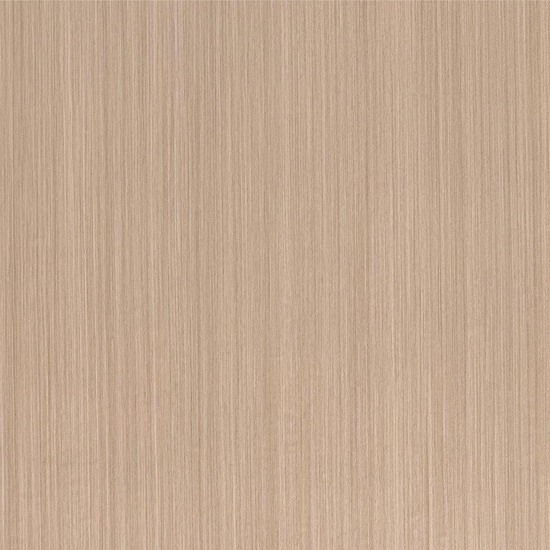 FG6016 Película interior