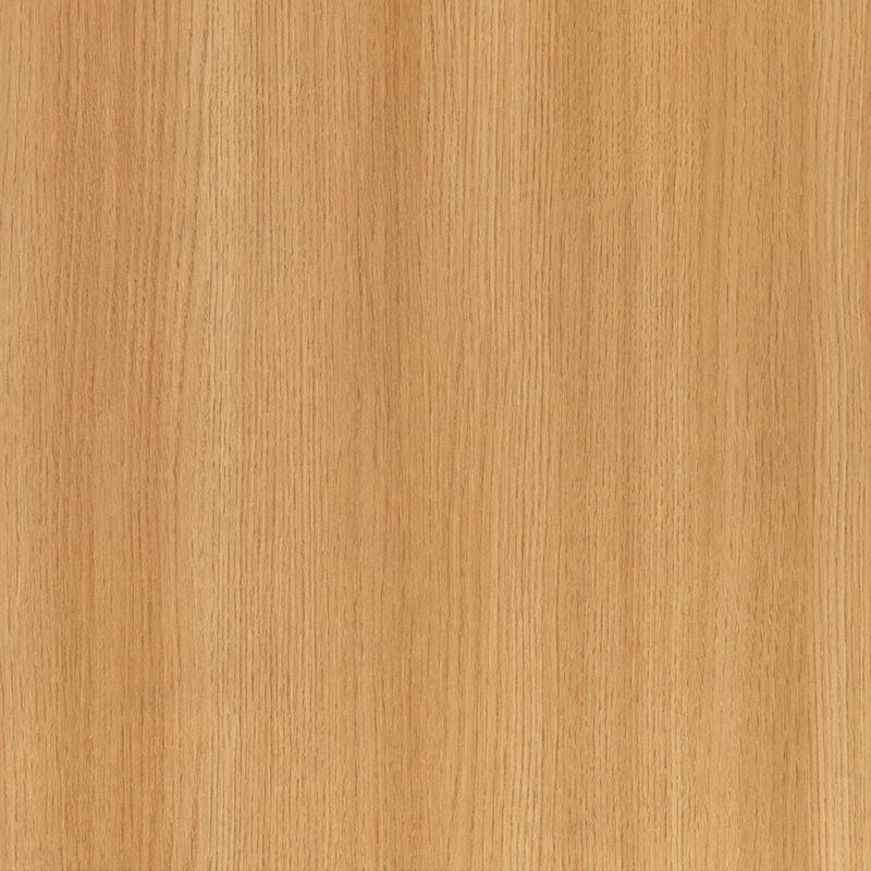 FG6009 Película interior