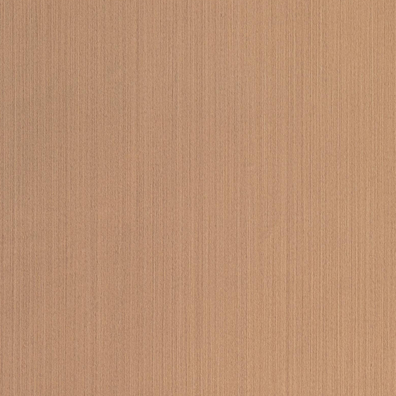 FG6007 Película interior