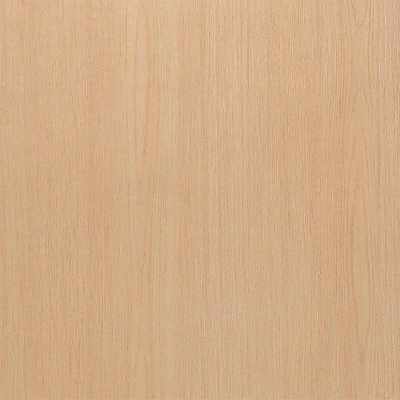 FG6004-2 Película interior