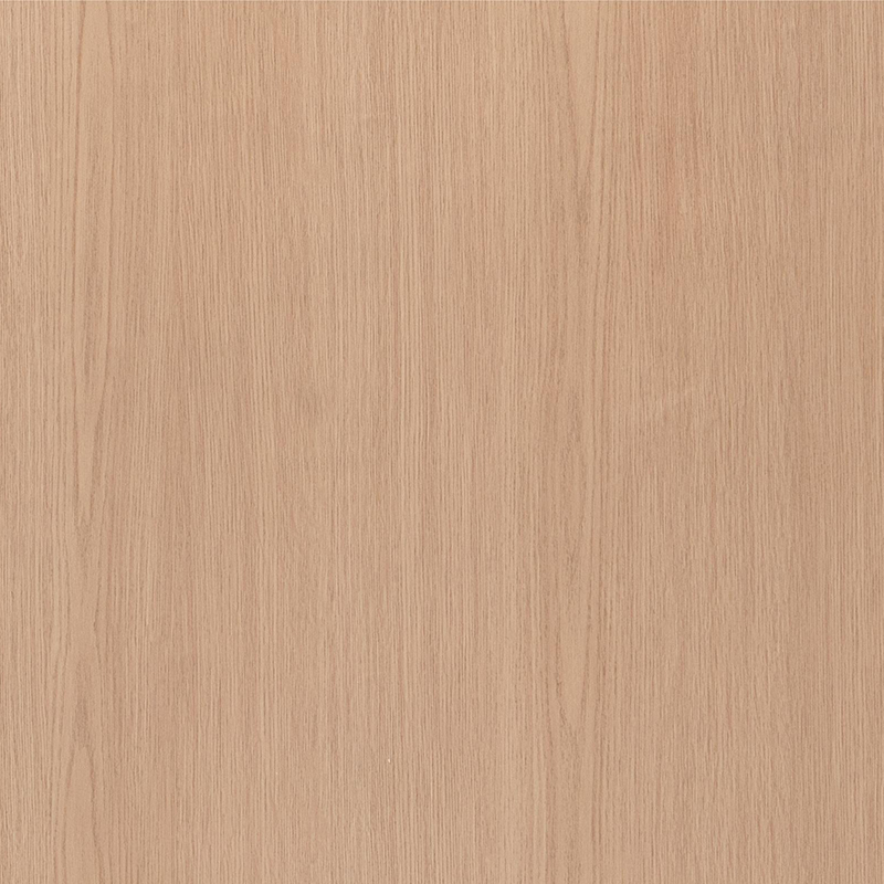 FG6004-1 Película interior