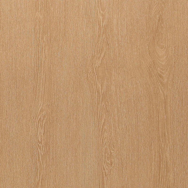 FG6003-1 Película interior