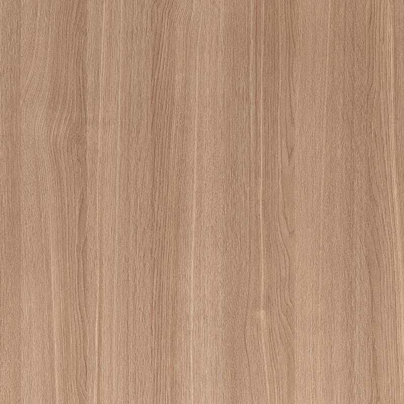 FG6001-1 Película interior