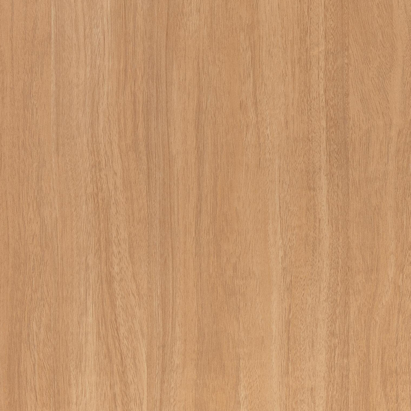 Película interior 6020