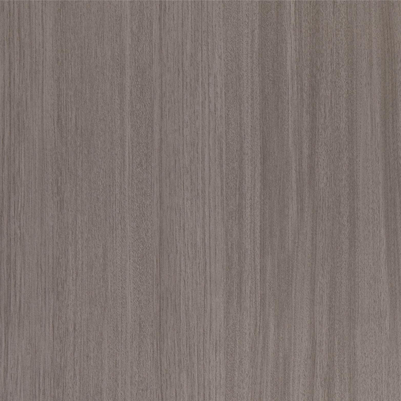 Película interior 6019