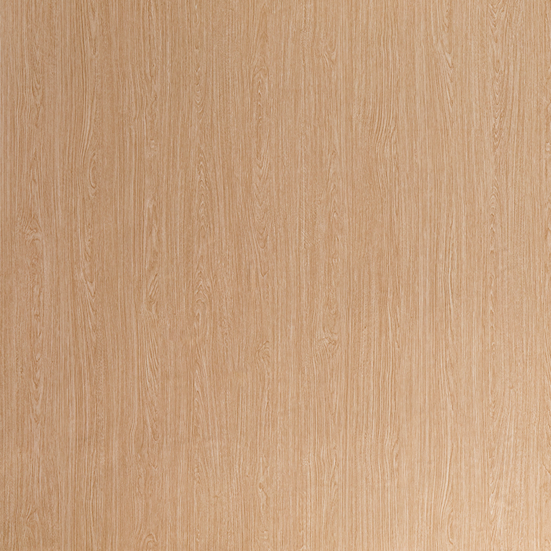 FM005 Película interior