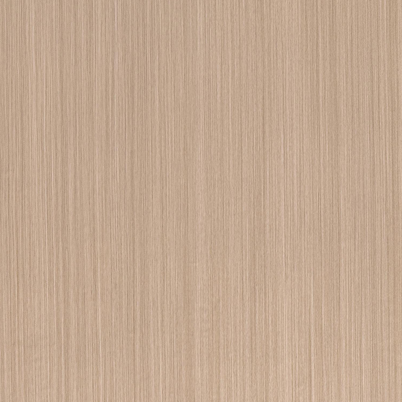 6016 Película interior