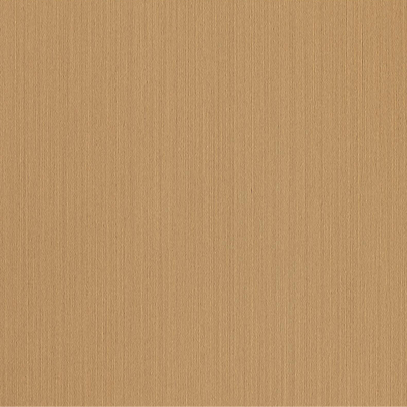 FG6046 Película interior