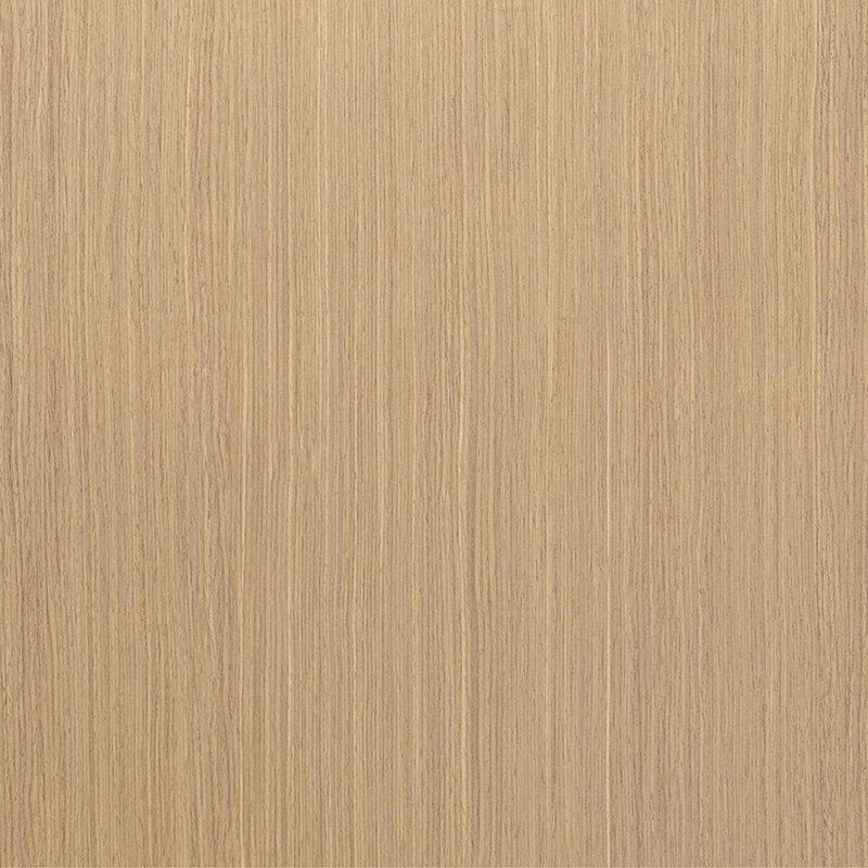 6008 Película interior