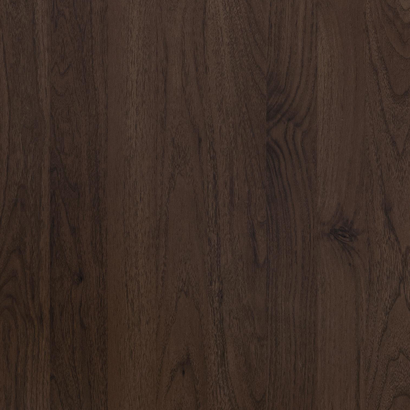 6005 película interior