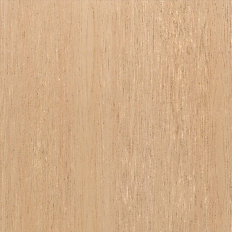 6004-2 película interior