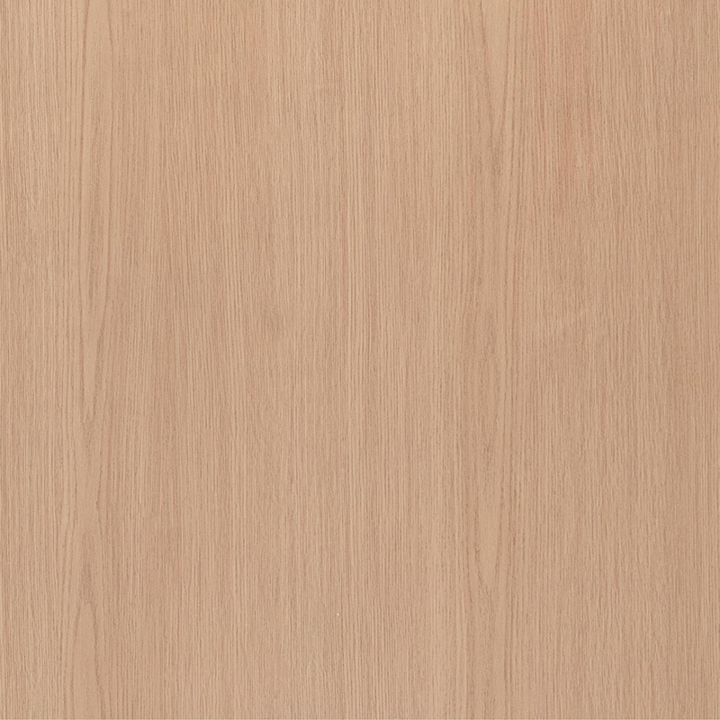 Película interior 6004-1