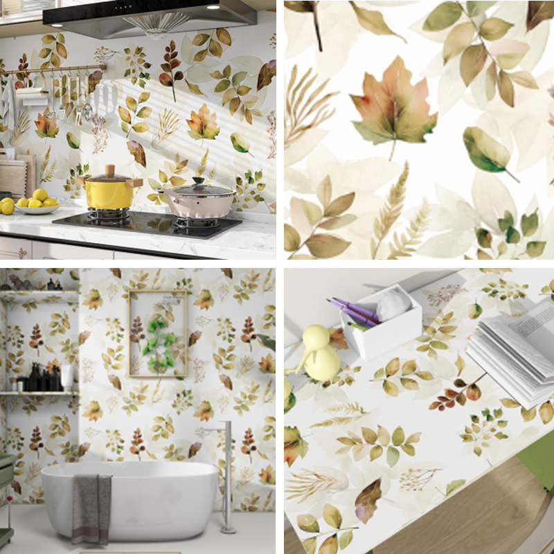 Serie de películas de vinilo imprimible CS-24005 Serie de películas de vinilo imprimible CS-24005